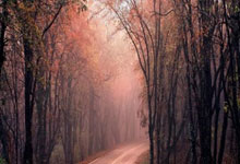 篮球公园吉迪一周好球.