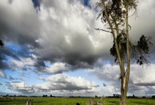 帕瓦尔：会为三冠王而拼搏；小因扎吉被很不公平地低估了.