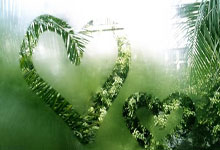 虎扑体育：登山过程中对环境保护有哪些要求？.